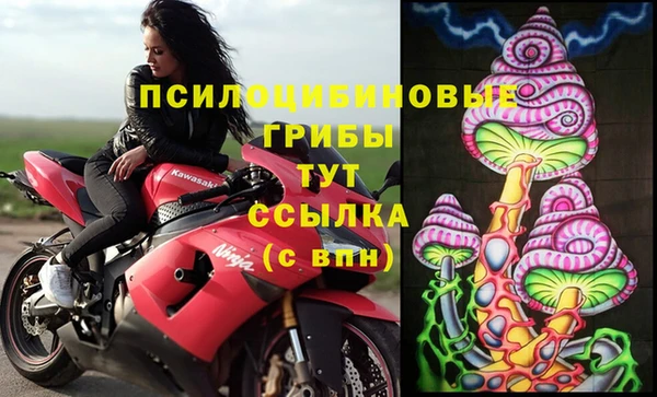прущий лед Няндома