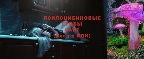 МДПВ Нязепетровск