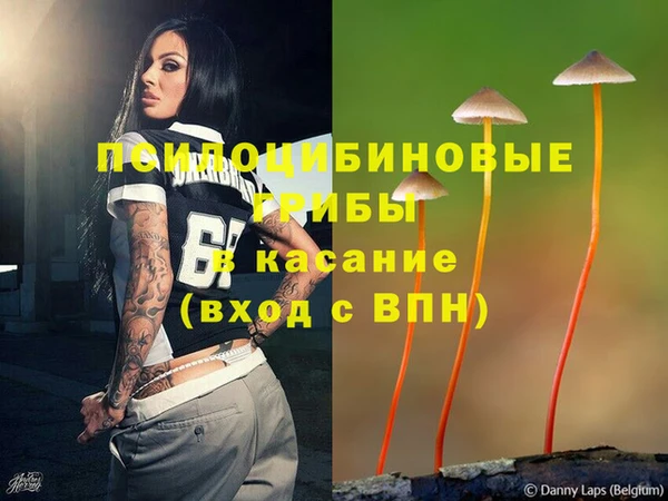 мескалин Нягань