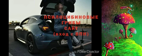 МДПВ Нязепетровск