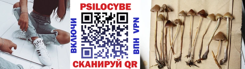 это состав  Киселёвск  Псилоцибиновые грибы мицелий 